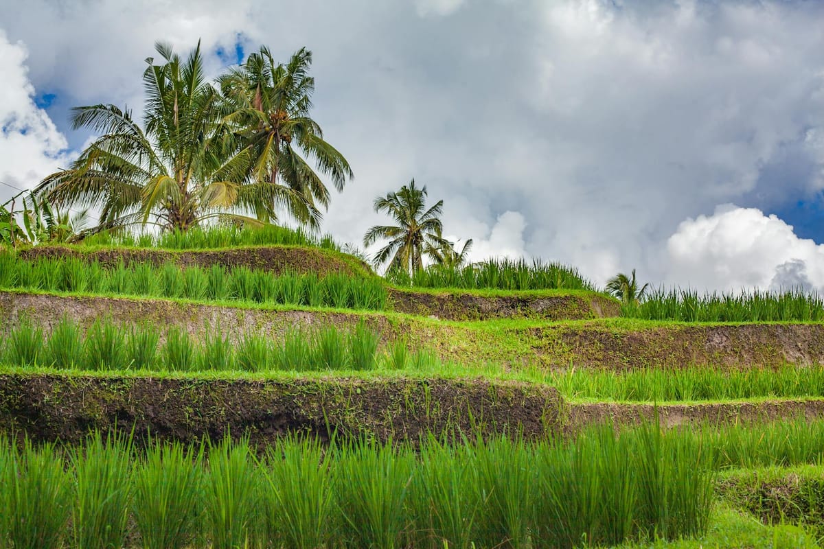 Ocean Tribes Festival brings music, film, and fashion to Suntec on April 11 Post feature image