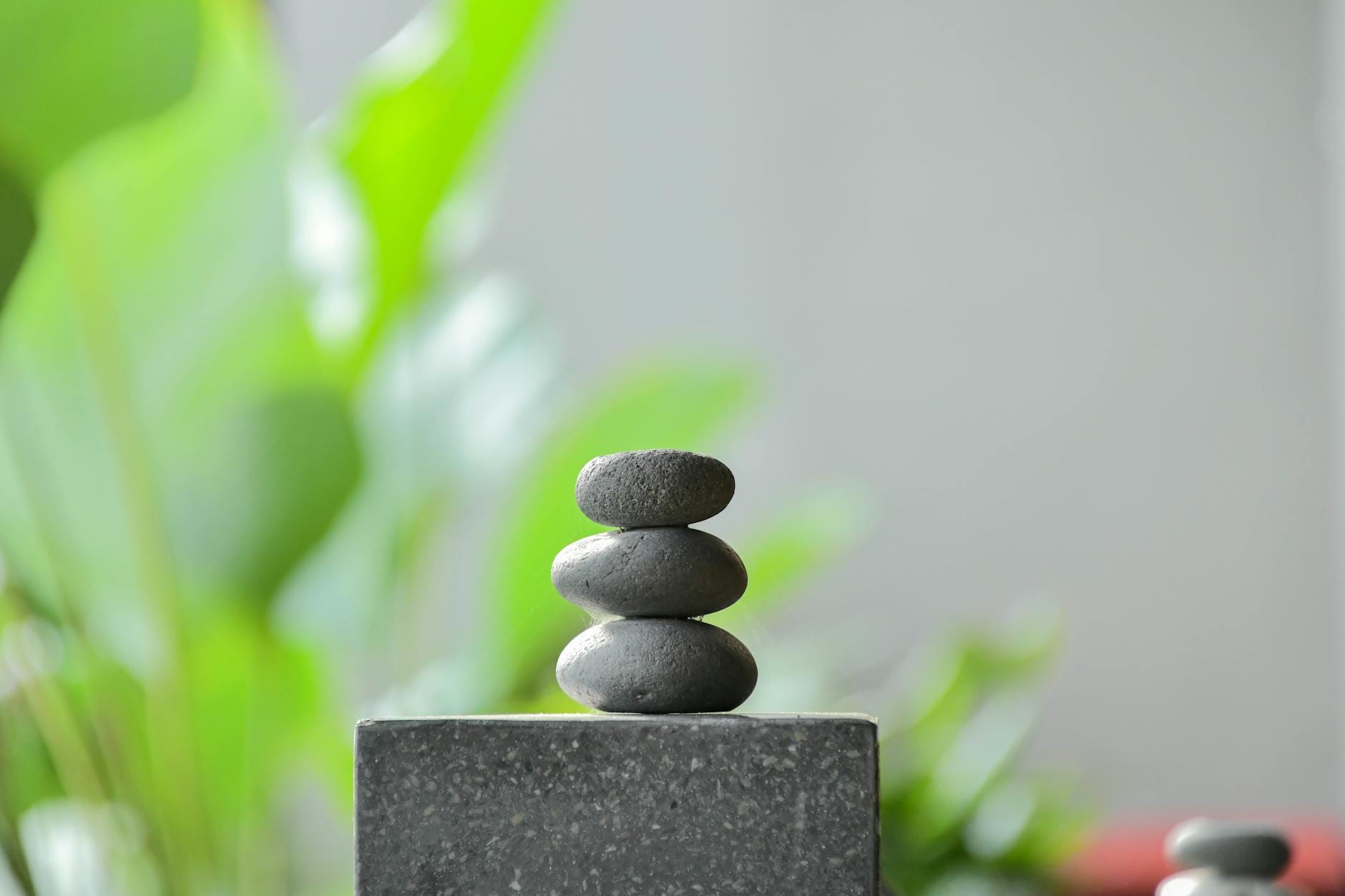 Bangkok-Famous VE/LA To Open In SG With Boba Coffee And Matcha Smoothies Post image