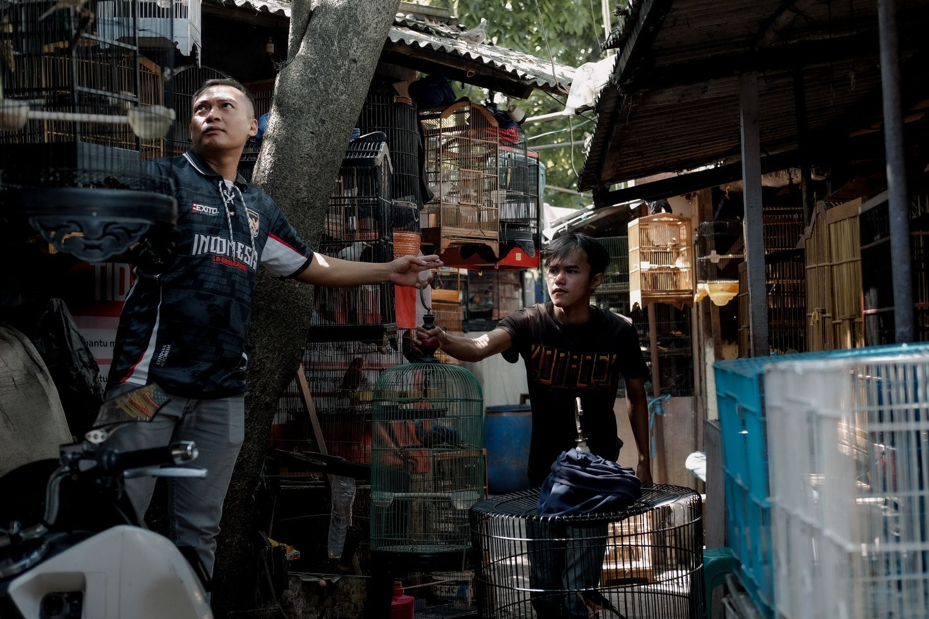 5 Indonesian Nobar Screenings in Singapore Delivering World Post image