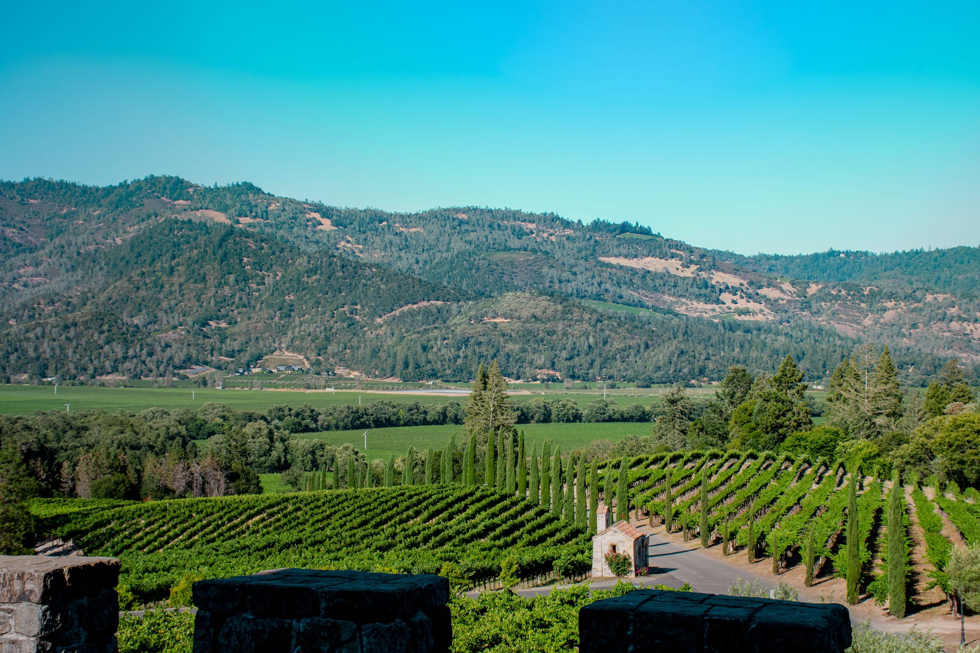 The great Napa wines made from the valley’s old vines Post image